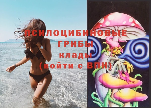 МДПВ Алзамай